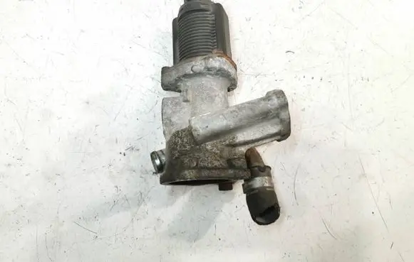 EGR valve