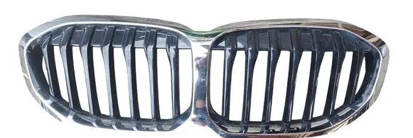 BMW 1 F40 Front grill 5A39366