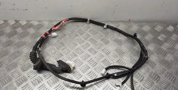 Rear door wiring loom