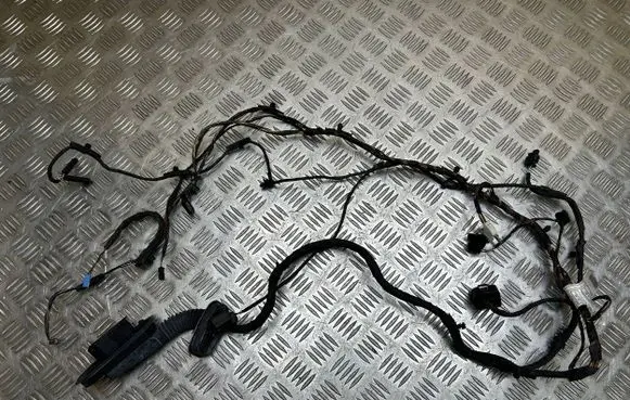 BMW 6 F06 Gran coupe Front door wiring loom 9255396 6846489 9255395