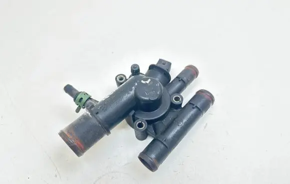 Thermostat/thermostat housing