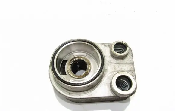 Nissan Qashqai Oil filter mounting bracket 213059324R