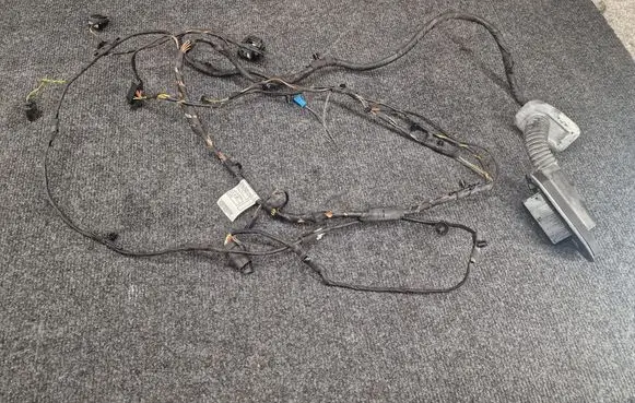BMW 6 F12 F13 Front door wiring loom 9259835 9237261