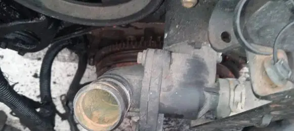 Engine coolant pipe/hose