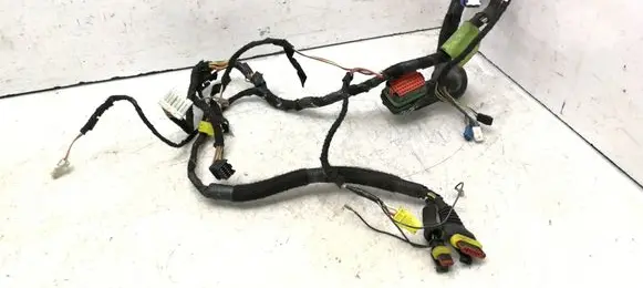 Front door wiring loom