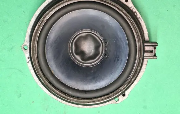 Rear door speaker