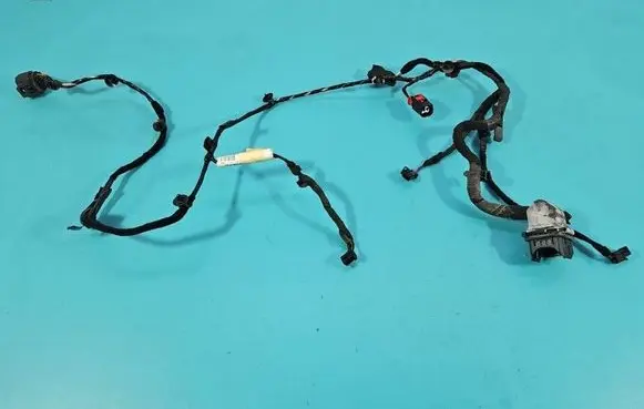 Front door wiring loom