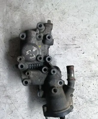 Thermostat/thermostat housing
