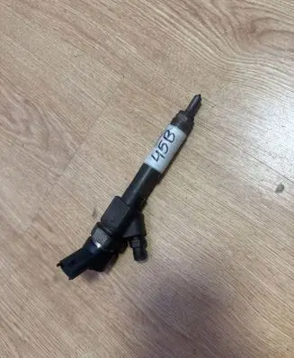 Renault Megane II Fuel injector 8200100272 0445110110B