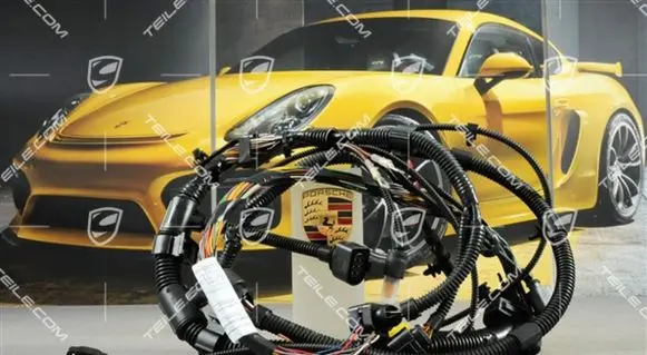 Porsche Cayenne (9PA) Headlight/headlamp wiring loom/harness 95561291510