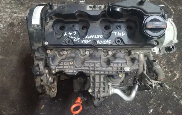 Skoda Octavia Mk2 (1Z) Engine CAY