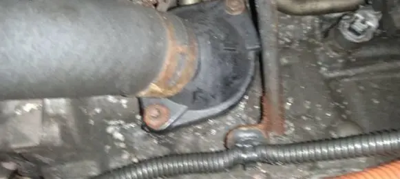 Toyota Prius (XW20) Engine coolant pipe/hose