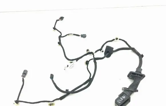 Rear door wiring loom
