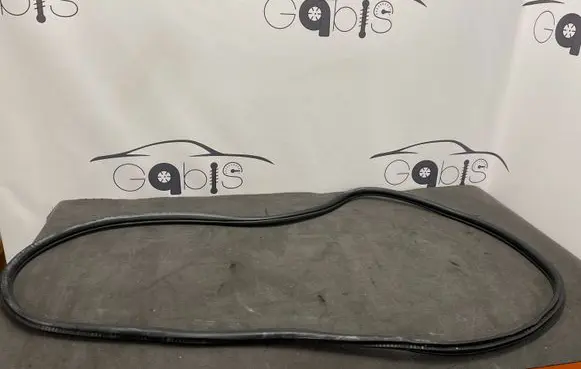 BMW 2 F46 Rear door rubber seal (on body) 7316817