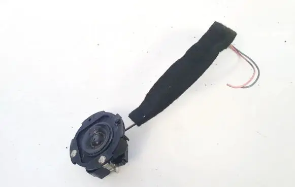 Citroen C3 Front door speaker