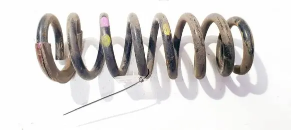 Rear coil spring