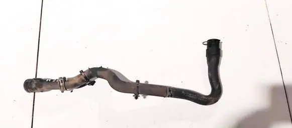 Mercedes-Benz A W169 Engine coolant pipe/hose a1698301296