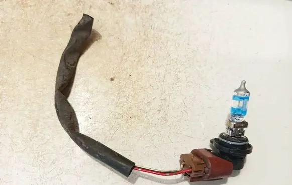 Toyota Corolla Verso AR10 Rear tail light bulb 