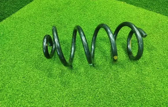 Rear coil spring
