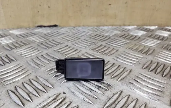 Volvo XC90 Front door interior light 31699146