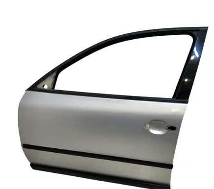 Volkswagen PASSAT B5 Front door 