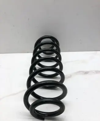 Volkswagen PASSAT B6 Rear coil spring