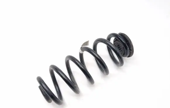 Chevrolet Volt II Rear coil spring 23306960 799117036
