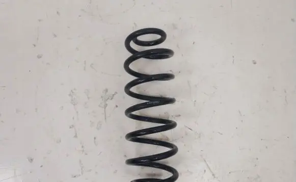 Rear coil spring