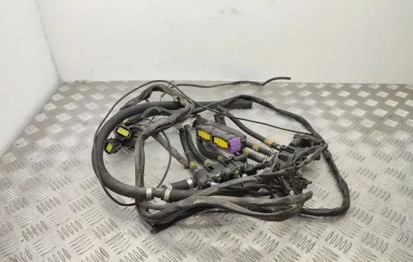 Lexus RX 330 - 350 - 400H LP gas injector 