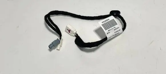 Other wiring loom