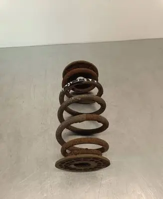 Opel Zafira C Rear coil spring 