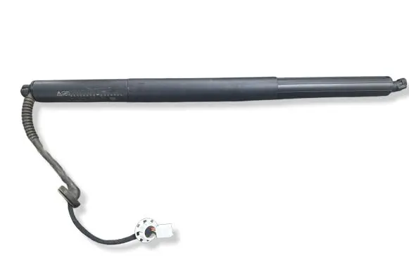 Tailgate/trunk strut/damper