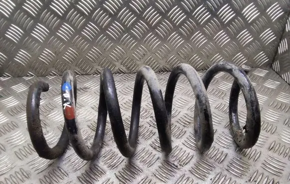 Front coil spring