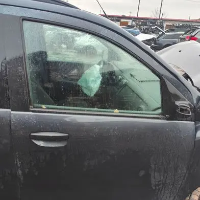 Dacia Lodgy Rear door