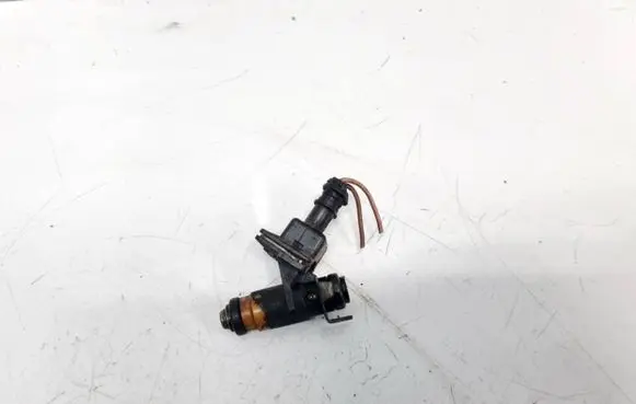Renault Scenic I Fuel injector H029611 ITG048