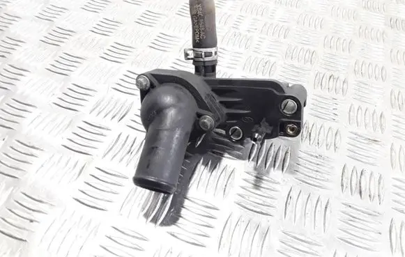 Thermostat/thermostat housing