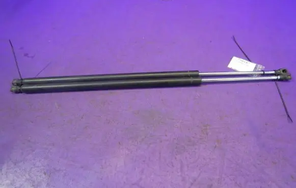 Tailgate strut