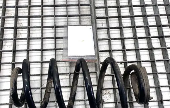 BMW X1 F48 F49 Rear coil spring 