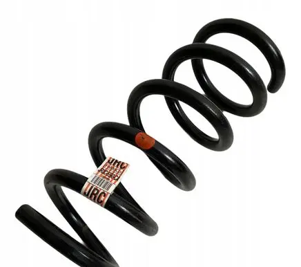 Ford Mustang VI Rear coil spring JR3C5560KA