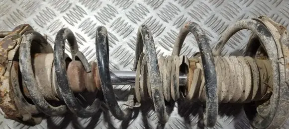 Mazda Premacy Rear coil spring