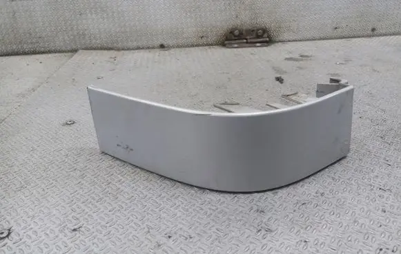 Rear/tail light trim molding