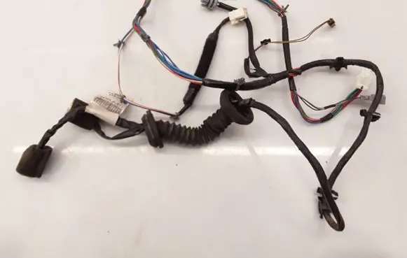 Front door wiring loom