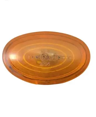 Front fender indicator light
