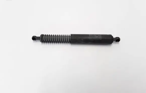 Tailgate strut