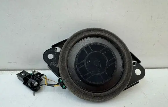 Lexus RX V Panel speaker 8616078090