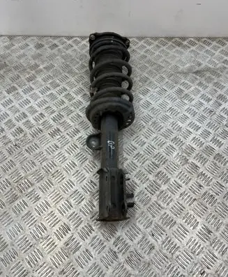 Jeep Compass Front shock absorber with coil spring 00521692420 541072020