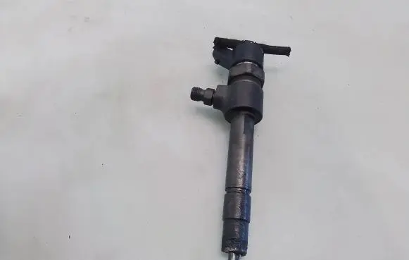 Fiat Bravo Fuel injector 0445110002