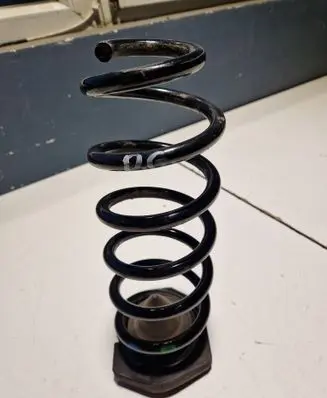 Rear coil spring