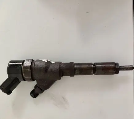 Citroen Jumpy Fuel injector 0445110076 9641742880