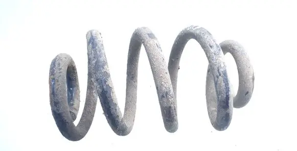 Rear coil spring